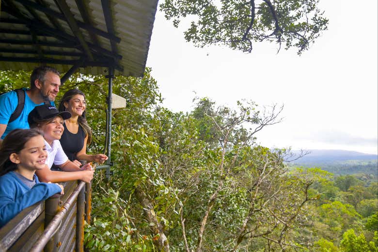 Admirando las vistas desde la plataforma - Admirando las vistas desde la plataforma