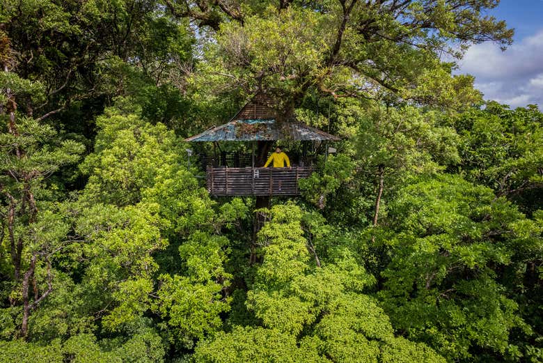 En la plataforma de observación - En la plataforma de observación