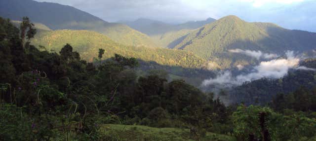 Trekking di 4 giorni nel parco nazionale di Los Quetzales