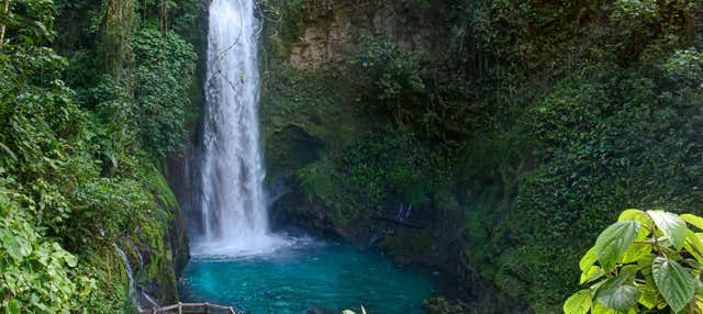 Escursione ai giardini della cascata La Paz