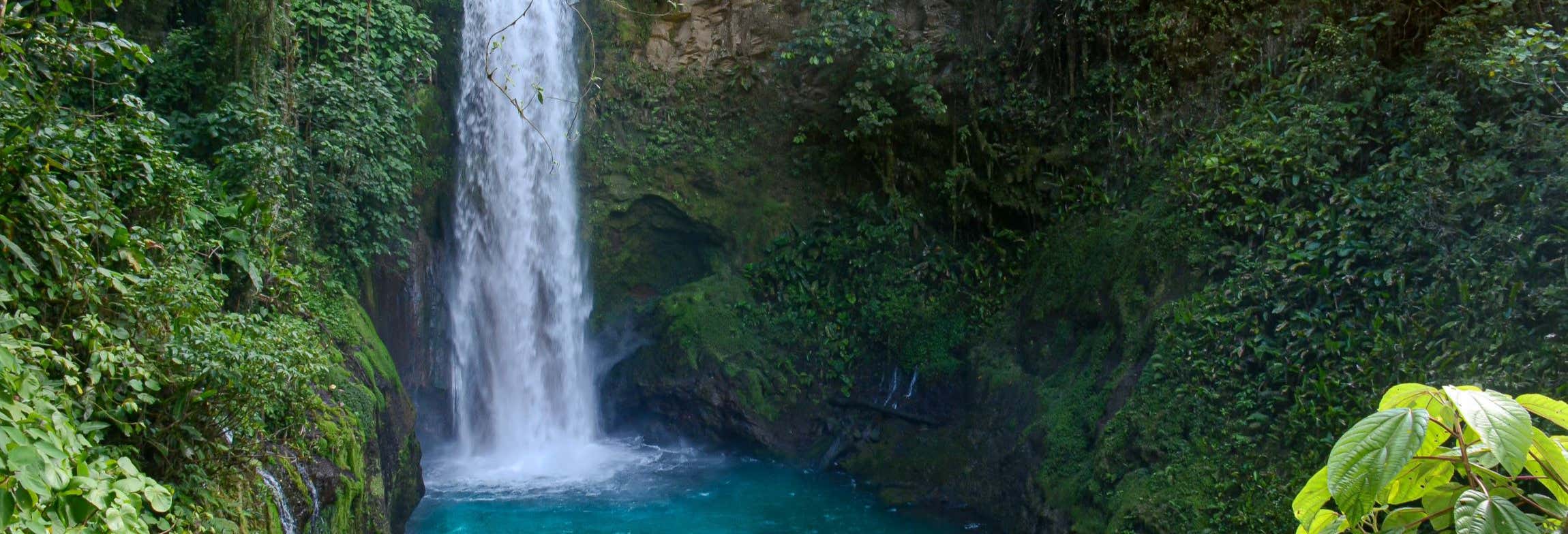 Escursione ai giardini della cascata La Paz