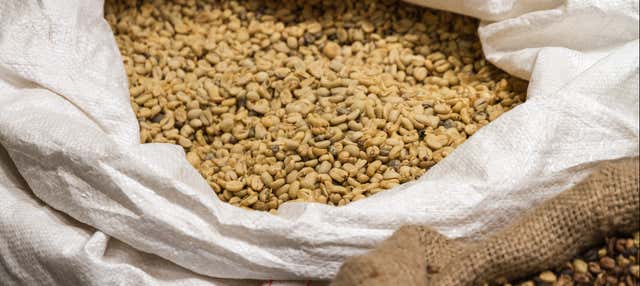 Escursione a Doka, Grecia e Sarchi