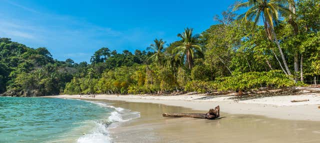 Escursione al Parco Nazionale Manuel Antonio
