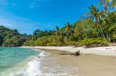 Manuel Antonio National Park Day Trip
