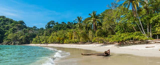 Excursión al Parque Nacional Manuel Antonio