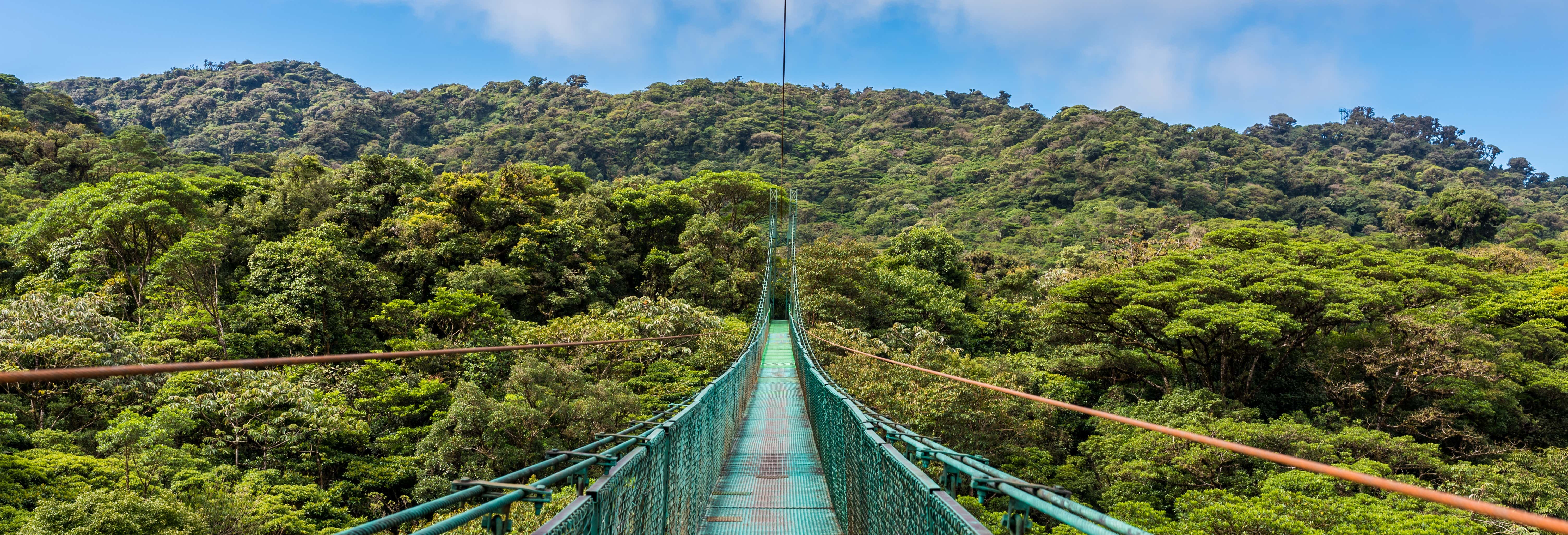 Escursione ai ponti sospesi di Monteverde