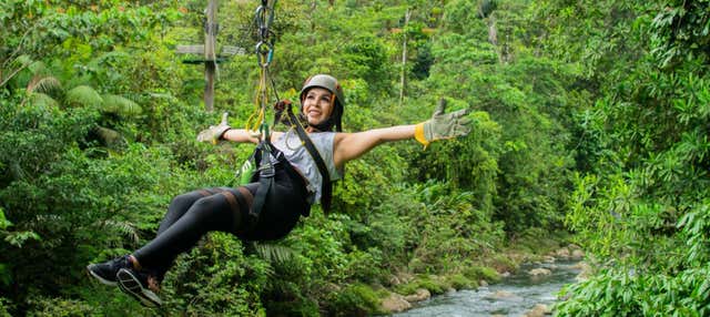 Escursione al parco Rainforest Atlantic