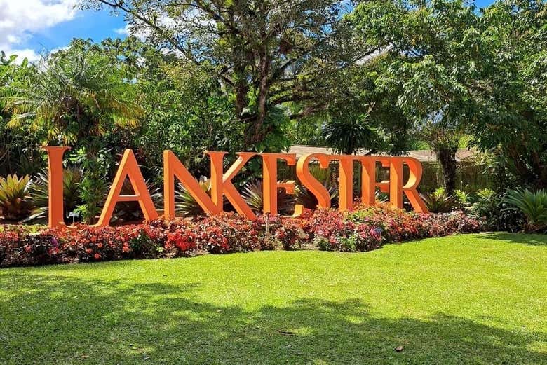 Enjoy a unique experience on this day trip in Brazil! - Enjoy a unique experience on this day trip in Brazil!