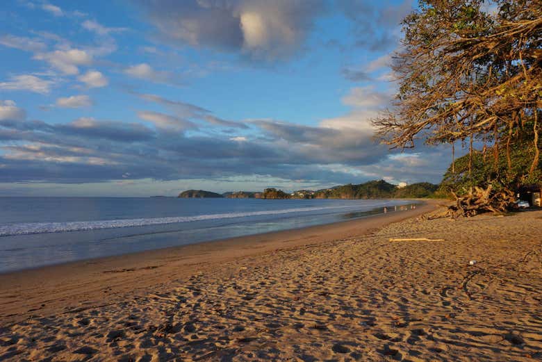 Tamarindo Beach - Tamarindo Beach