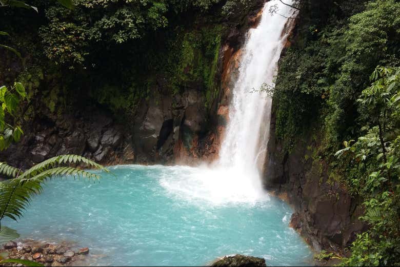 Imagen 3