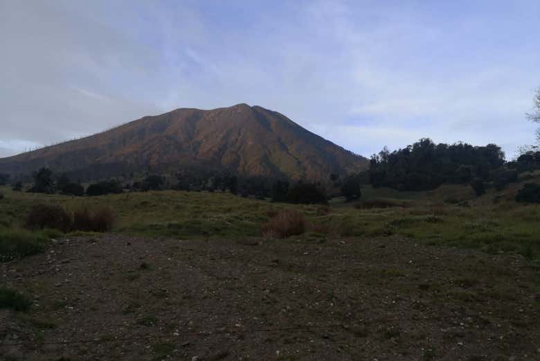 Imagen 4