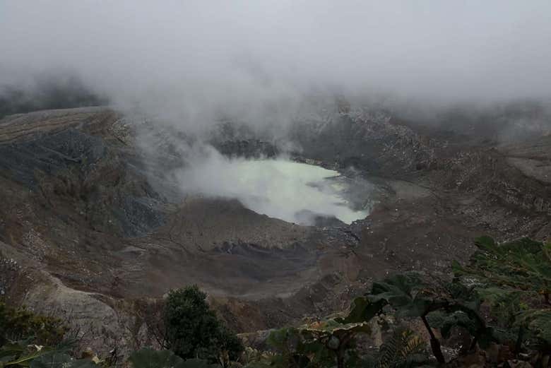 Imagen 4