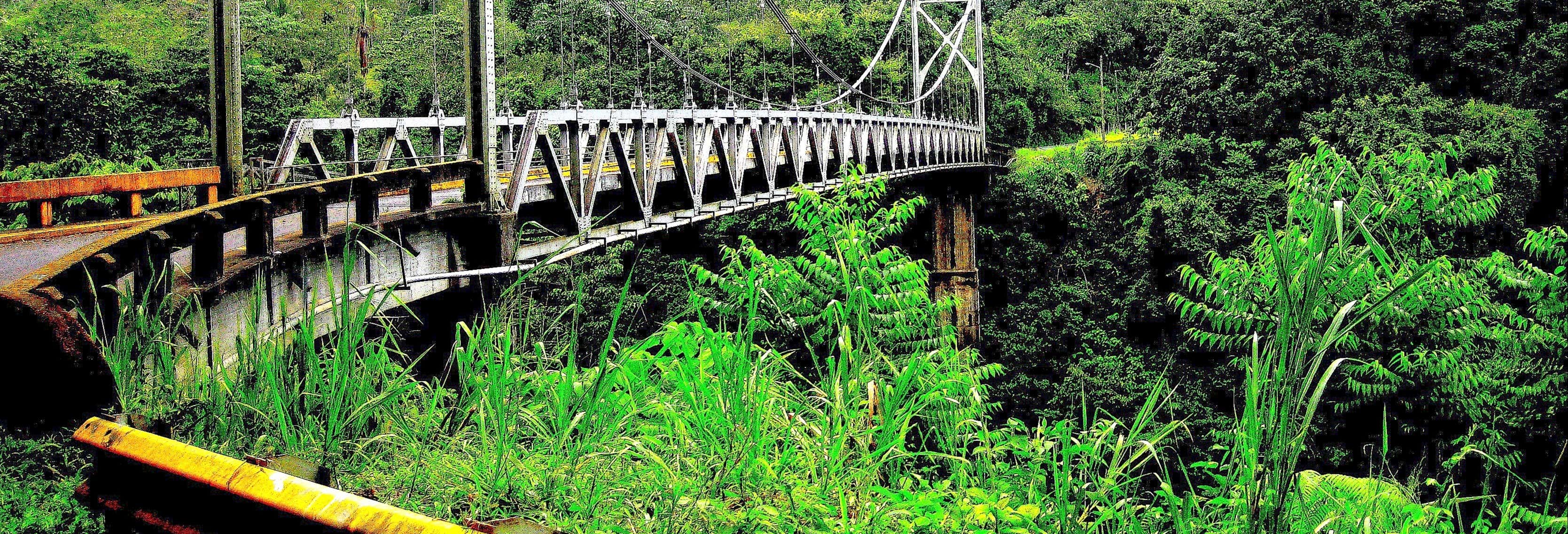 Excursión a los puentes colgantes de Arenal + Aguas termales