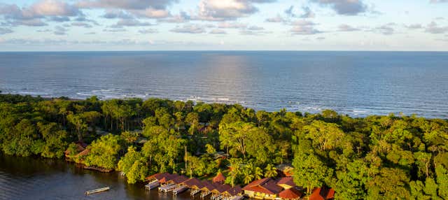Tour di 2 o 3 giorni del Parco Nazionale Tortuguero