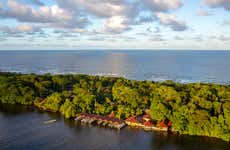 Tortuguero National Park 2 or 3-Day Tour