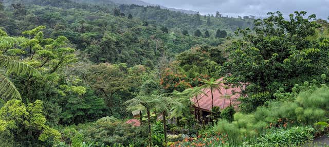 Tour di avventura nella foresta pluviale