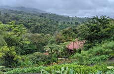 Tour de aventura en el bosque lluvioso