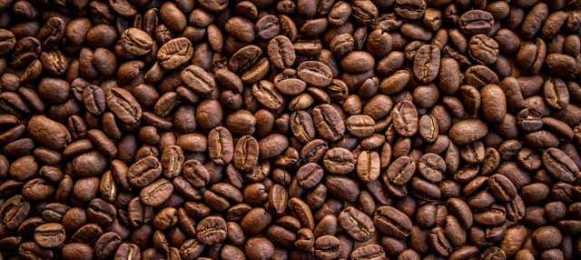 Tour del caffè a San Marcos de Tarrazú