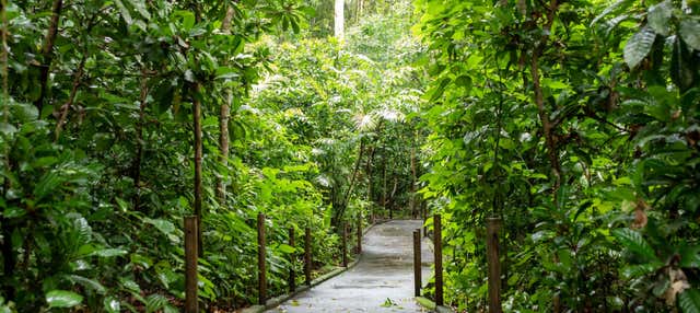 Trekking nel Parco Nazionale Carara