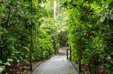 Carara National Park Hike
