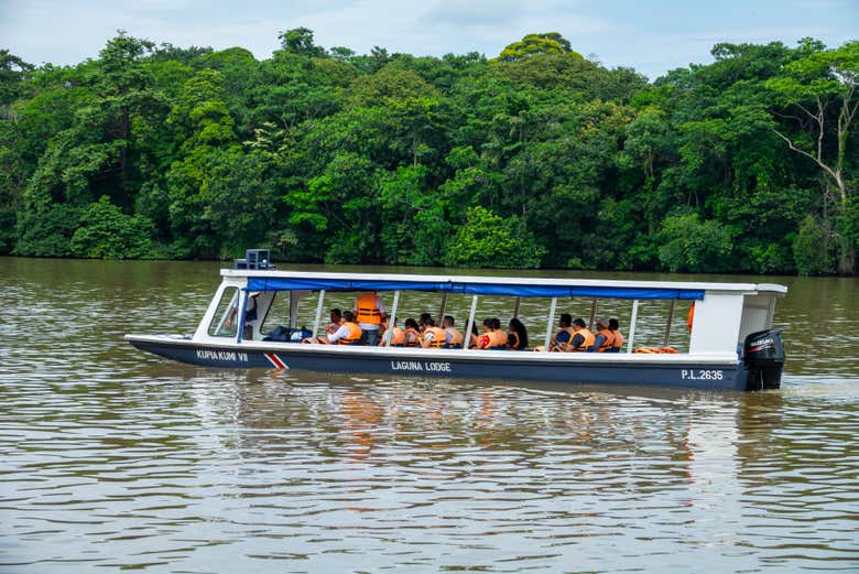 Bateau à bord duquel vous vous rendrez à Tortuguero - Bateau à bord duquel vous vous rendrez à Tortuguero
