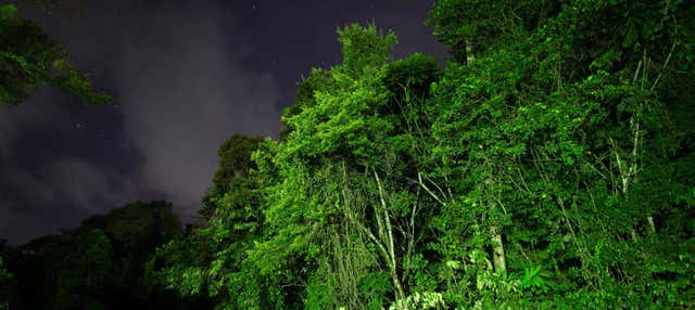 Trekking serale a Tortuguero