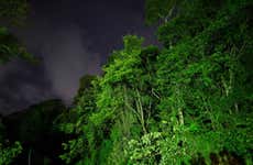 Senderismo nocturno por Tortuguero