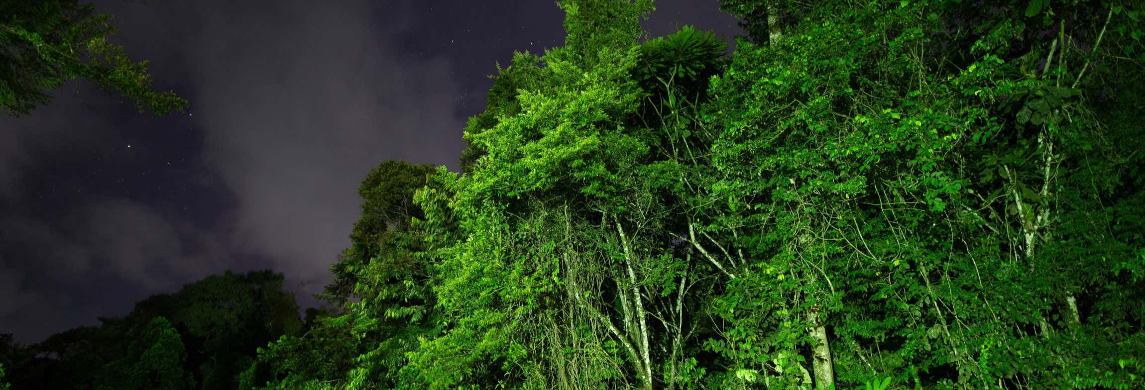 Trekking serale a Tortuguero