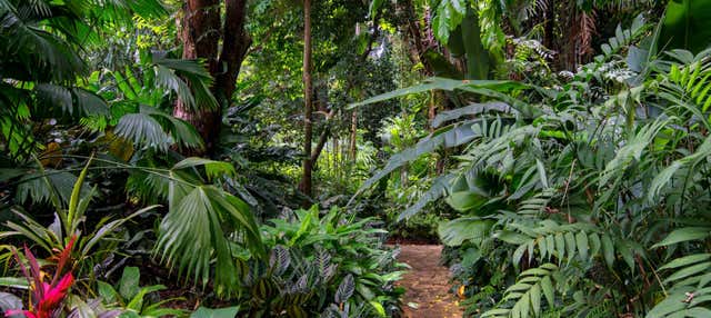 Trekking nel Parco Nazionale Tortuguero