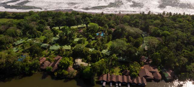 Tour di 2 o 3 giorni nel Parco Nazionale Tortuguero