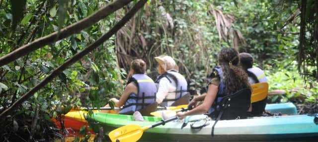 Tour del Parco Nazionale Tortuguero in kayak