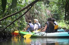 Tour en kayak por el Parque Nacional Tortuguero