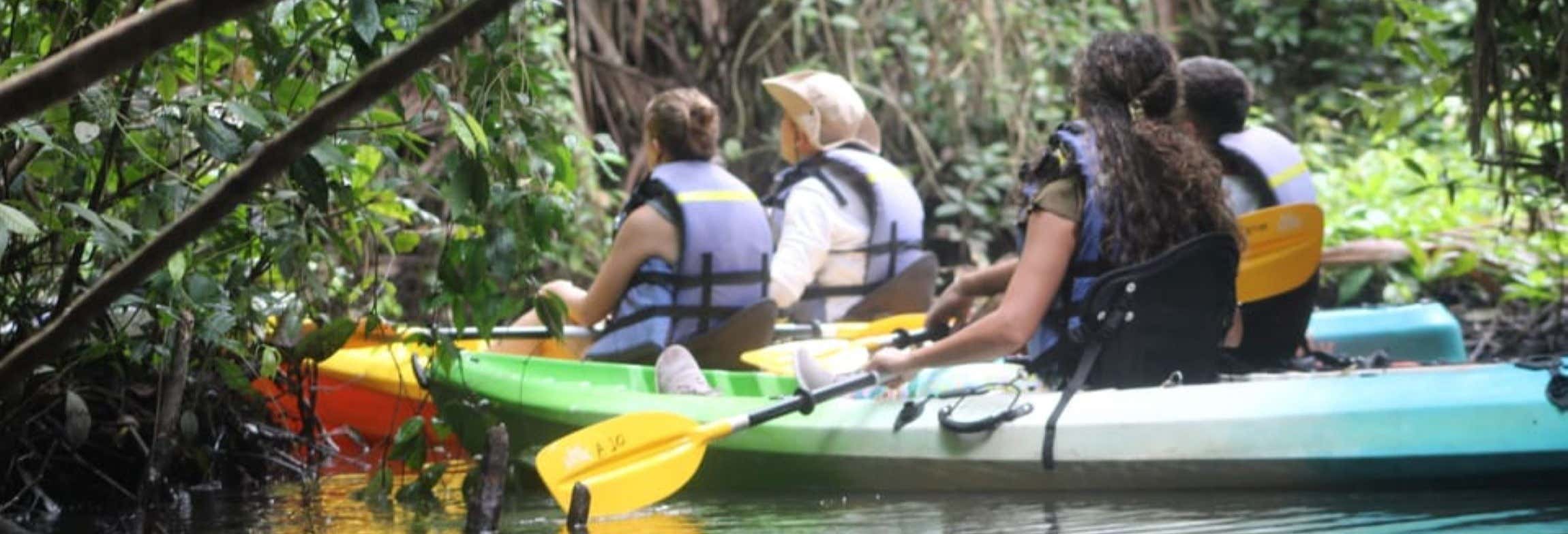 Tortuguero National Park Kayak Tour