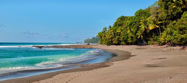 Escursione al Parco Nazionale Corcovado