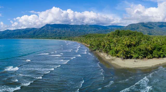 Uvita