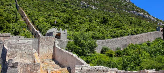Excursion à Ston + Dégustation de vins