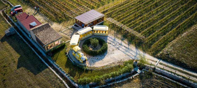 Excursion en train dans la vallée de Konavle + Dégustation de vin