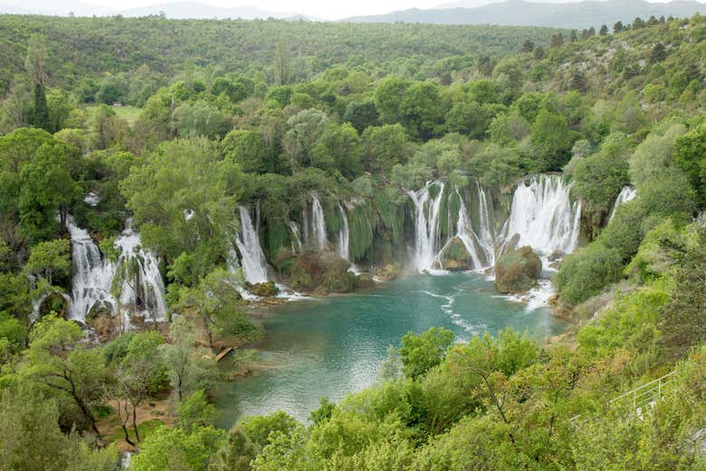 Imagen 5