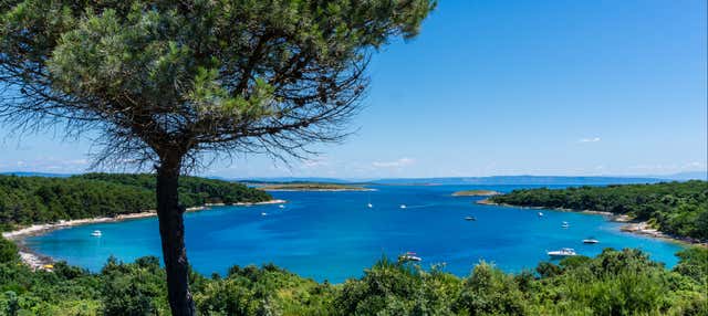 Giro in barca con fondo trasparente a Capo Promontore