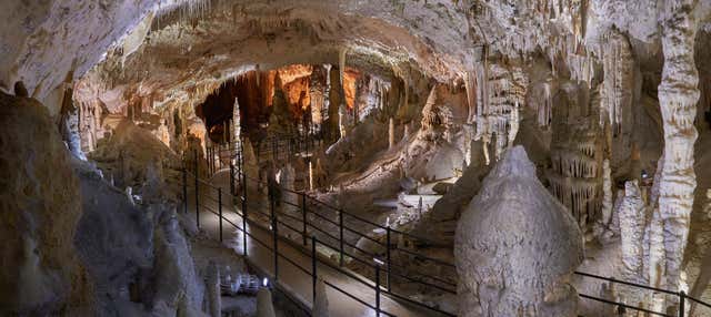 Escursione alle Grotte di Postumia e al Castel Lueghi