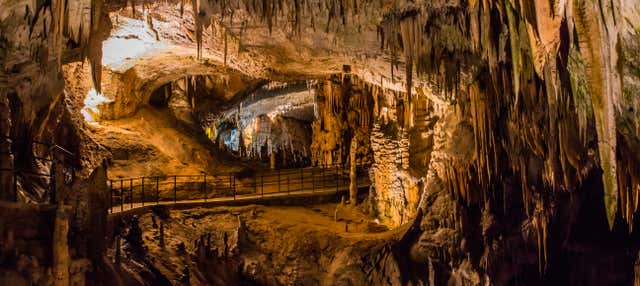 Escursione alle Grotte di Postumia e al Castel Lueghi