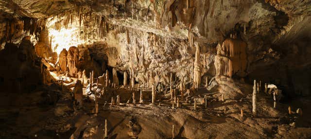 Escursione alle Grotte di Postumia e al Castel Lueghi