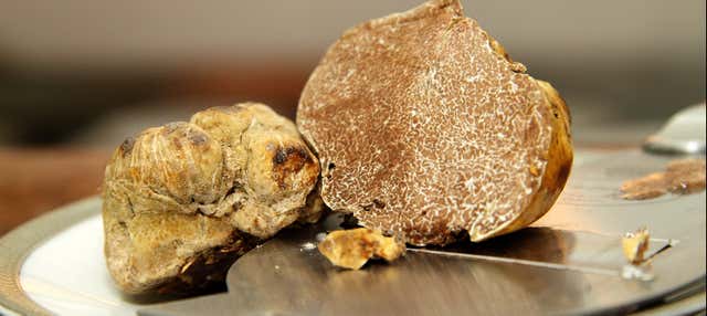 Tour gastronomico dell'Istria