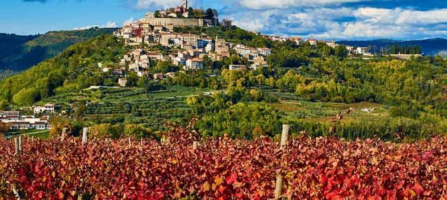 Tour enogastronomico dell'Istria
