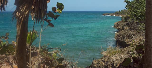 Escursione al Parco Naturale Alejandro Humboldt