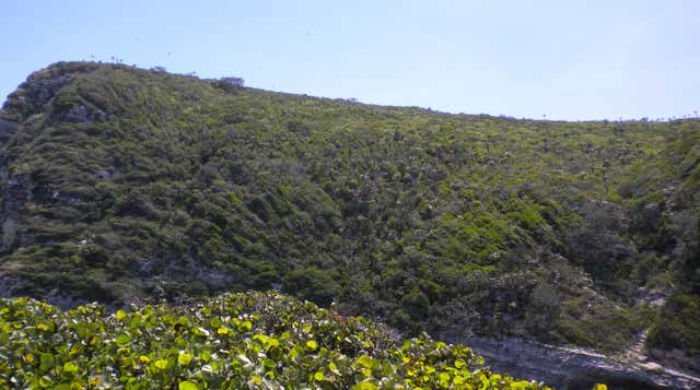 Boca de Canasí