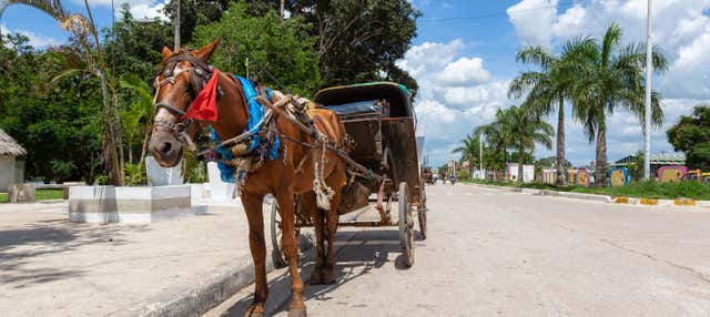Tour di tabacco, rum e zucchero