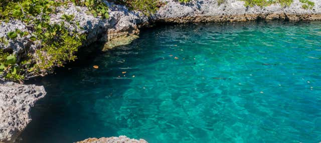Escursione a Caleta Buena