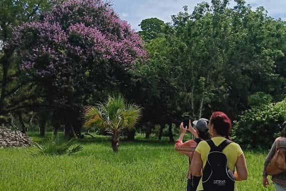 Imagen 6