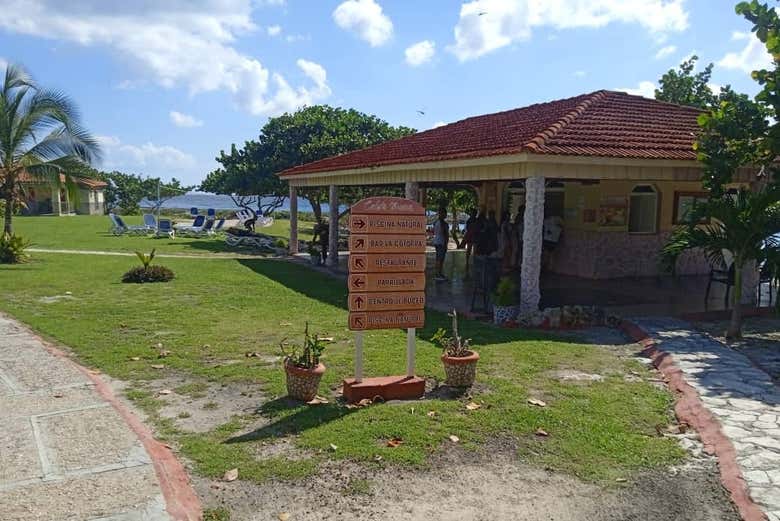 Imagen 5